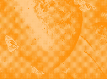 Cosmos Network Blog 3